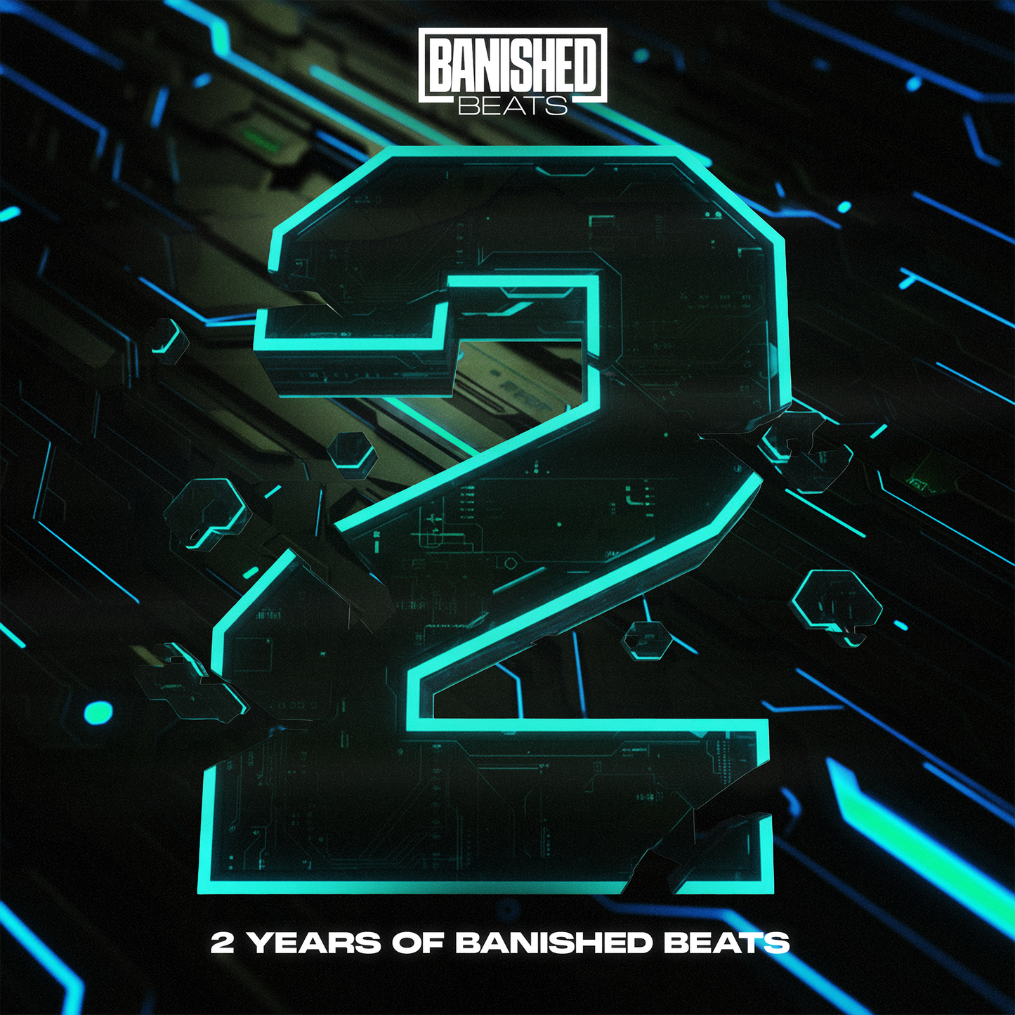 Two Years of Banished Beats LP